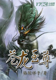 苍龙至尊封面图片